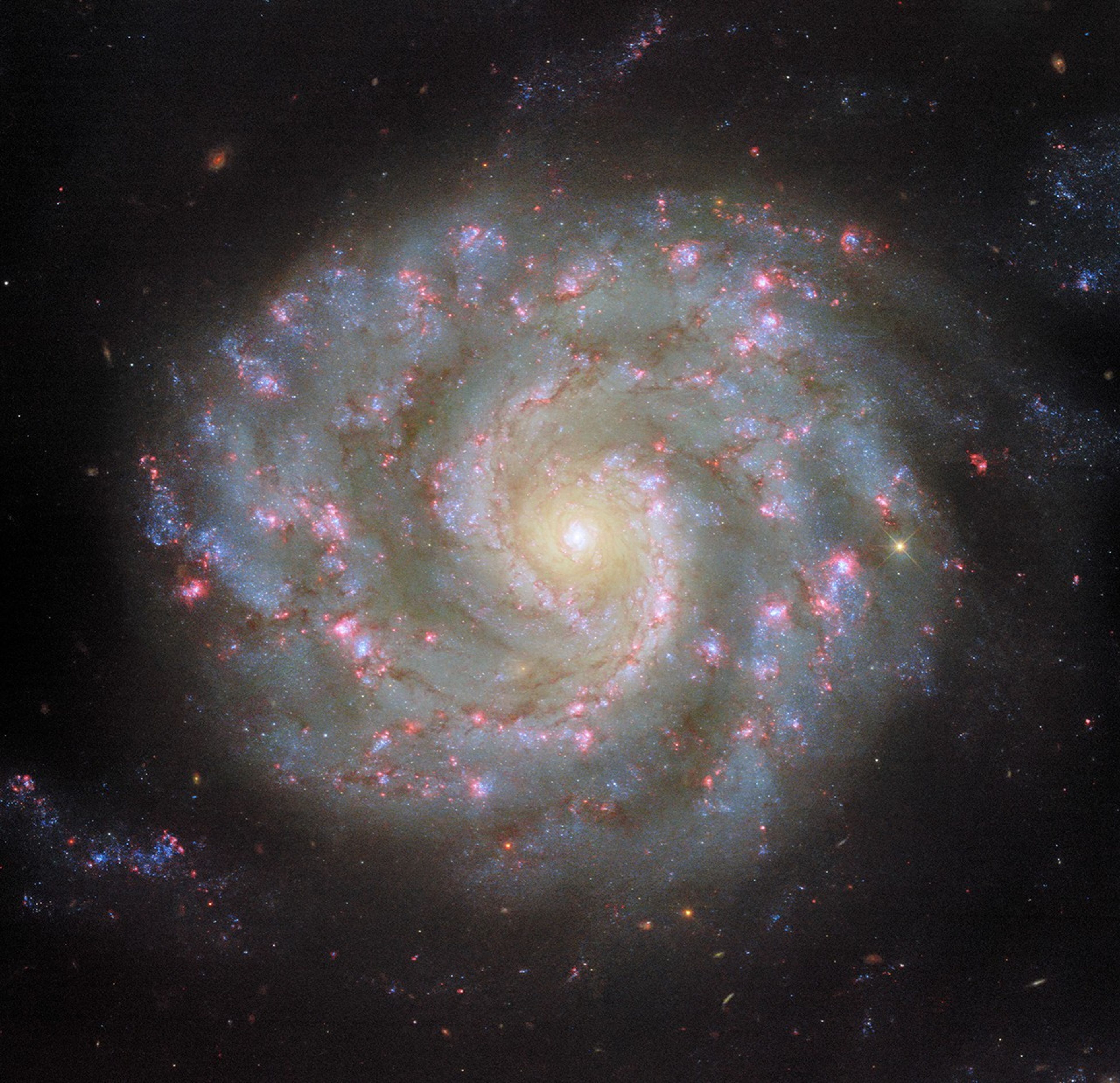 Massive Black Holes Across the Mass Spectrum