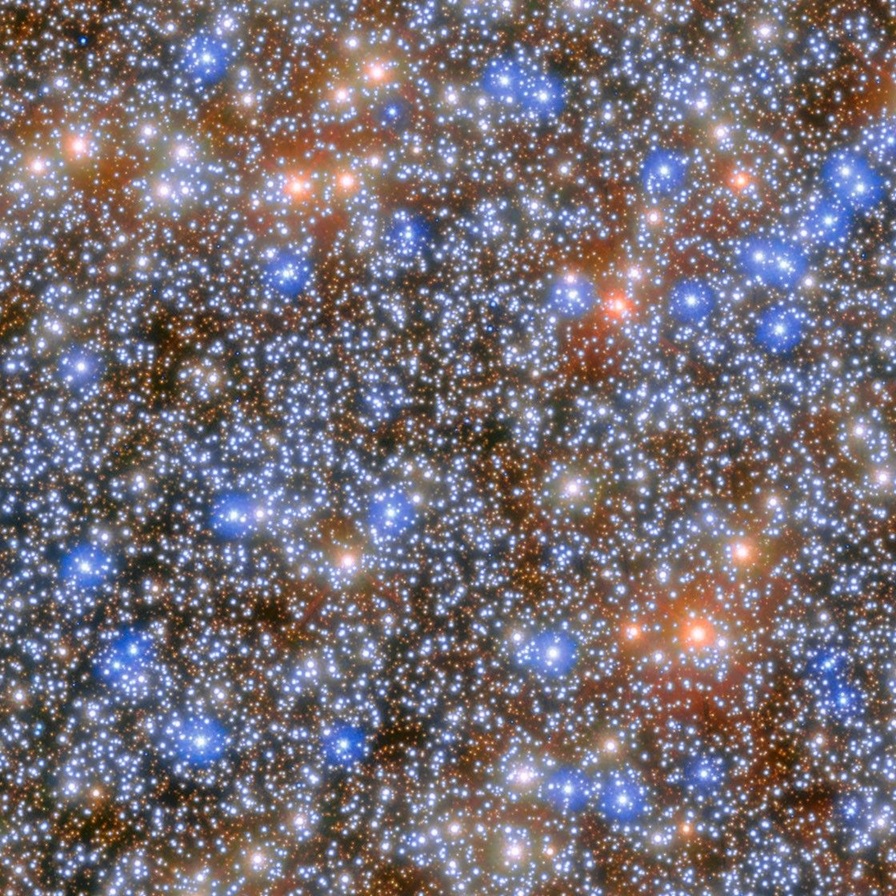 Nuclear star cluster